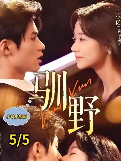 婆婆的账本家庭短剧海报
